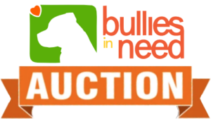 bin auction logo