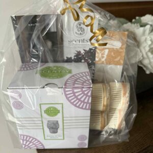 SCENTSY BUNDLE