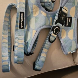 HARNESS COMBO BLUE MEDIUM
