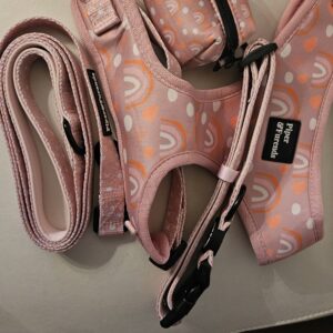 HARNESS COMBO PINK MEDIUM