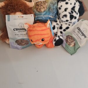 TOYS AND TREATS