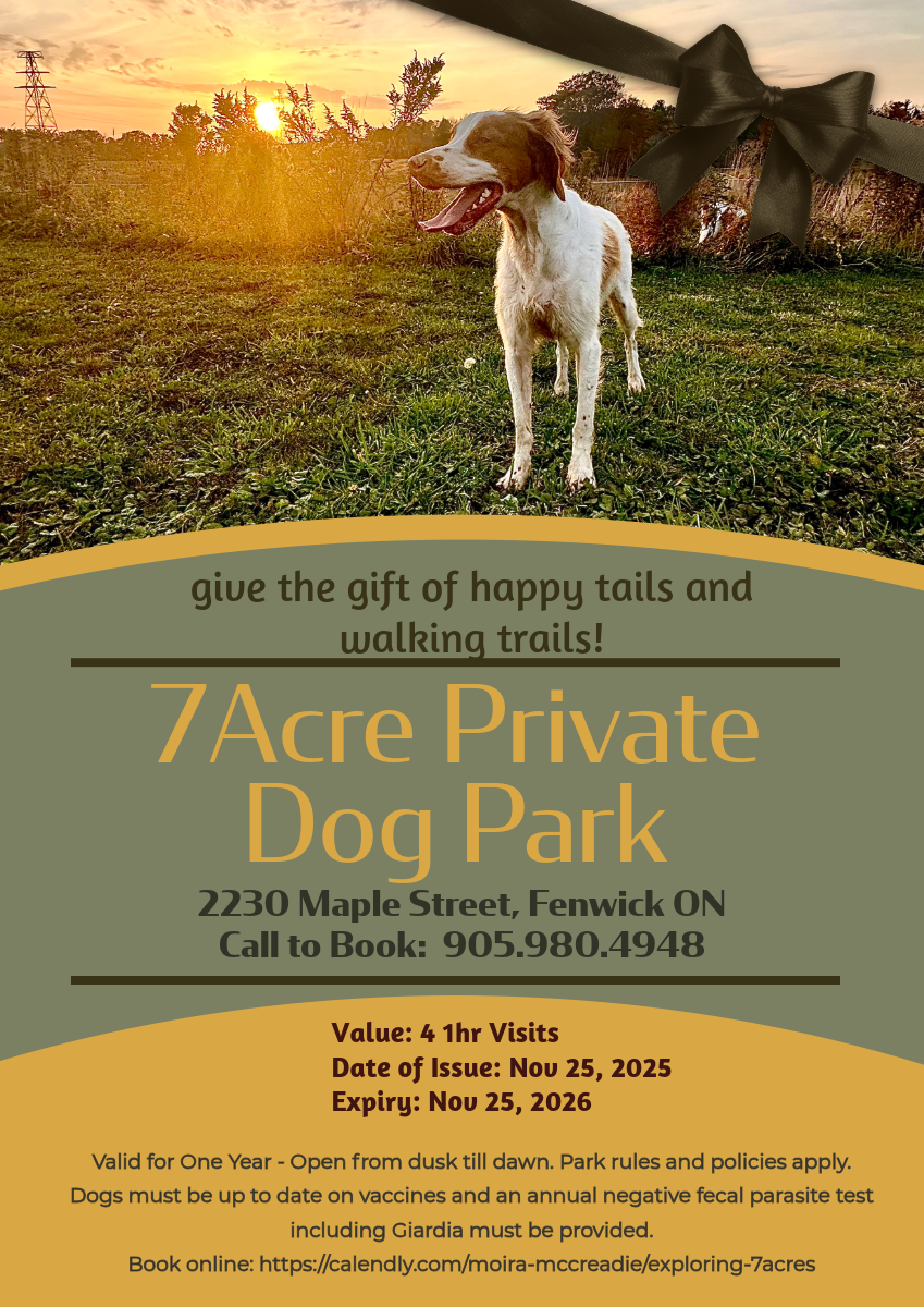7 ACRE PRIVATE DOG PARK 1 HOUR VISIT X 4