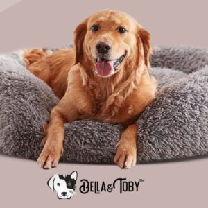 Bella & Toby Dog bed