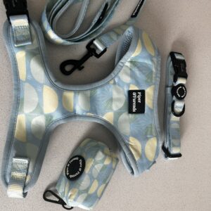 MEDIUM DOG HARNESS SET