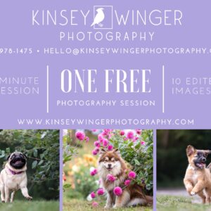Kinsey Winger Photography GIFT CERTIFICATE = $200