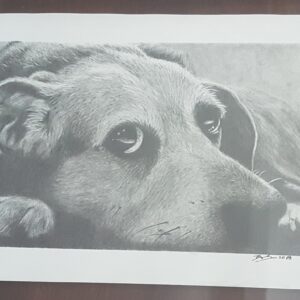 CUSTOM PET PORTRAIT