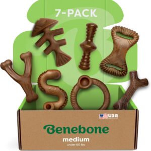 Benebone 7-Pack Medium