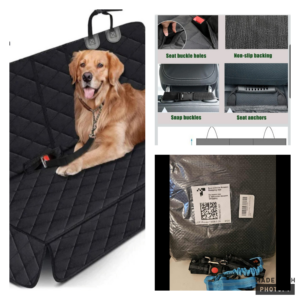 Seat cover and leash