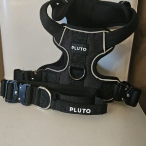 PLUTO POOCH HARNESS AND COLLAR