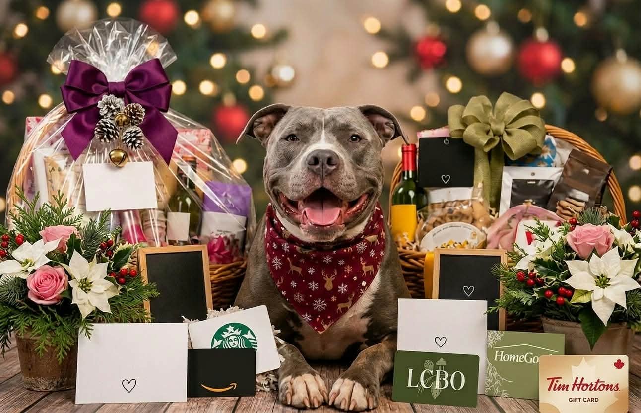 A smiling grey pitbull wearing a holiday-patterned bandana sits among gift baskets, gift cards, and christmas decorations