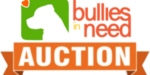 bin auction logo